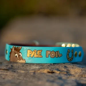 Collier - La FabriKe des Loups