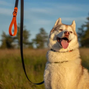 Collier & laisse - La FabriKe des Loups
