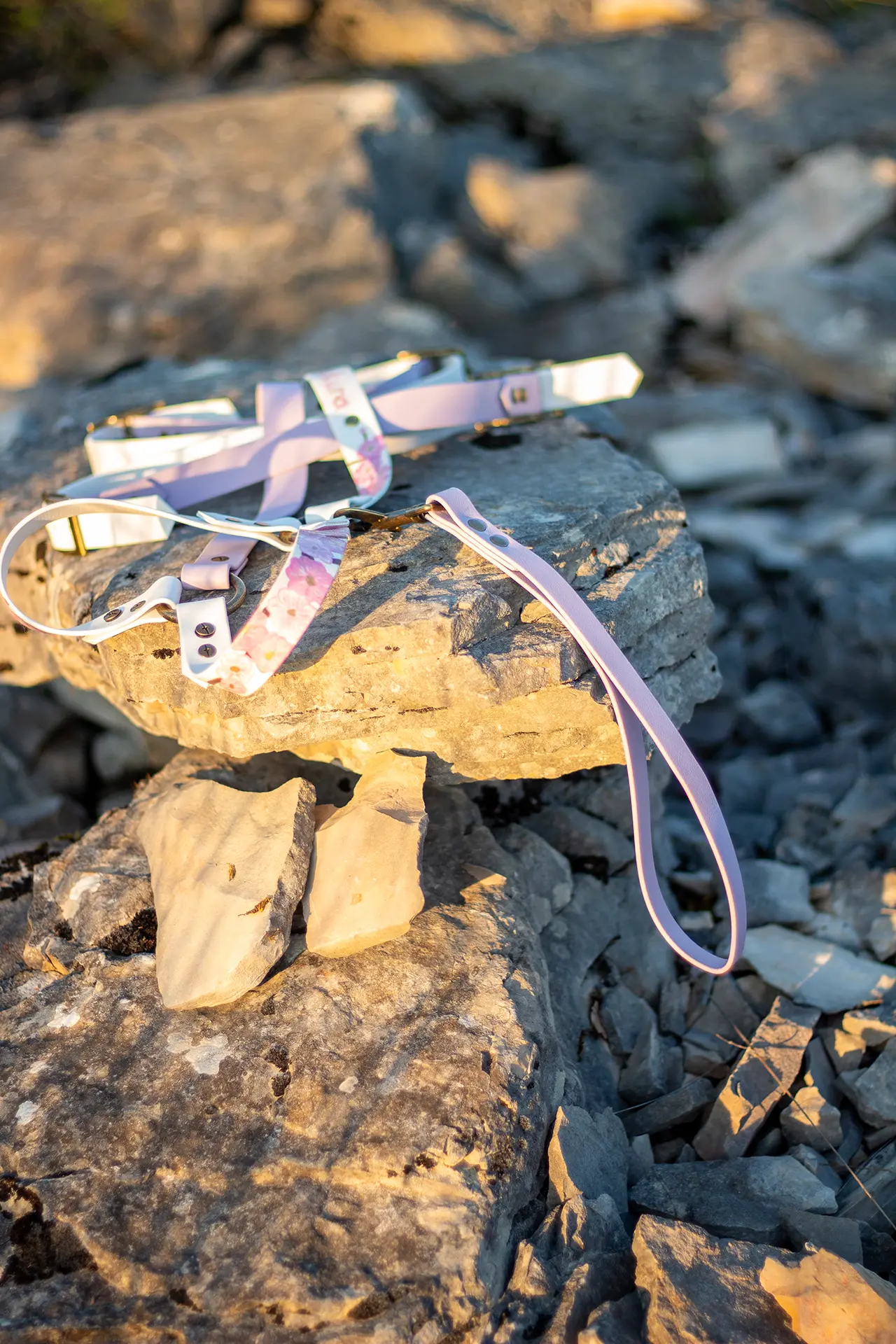 Harnais - La FabriKe des Loups