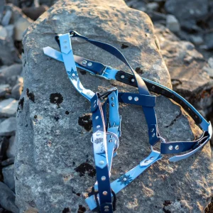 Licole - La FabriKe des Loups