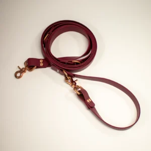 Laisse multipositions - La fabriKe des loups